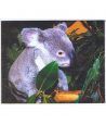 moneda Austria 5 Euros 2002 (nueve esquinas) Zoo. Koala