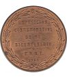 Medalla de cobre conmemorativa del Bicentenario de Carlos III. - 2 Medalla de cobre conmemorativa del Bicentenario de Carlos III. - 2
