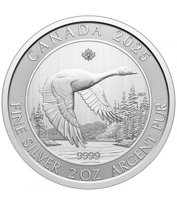 Moneda de plata 10$ Canada Ganso 2025. 2 onzas.  - 1
