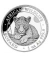 Moneda de plata 100 Shillings Somalia Leopard 2025 - 1 Moneda de plata 100 Shillings Somalia Leopard 2025 - 1