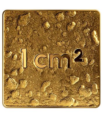 Letonia 10€ 2025 Nuestra Tierra. Oro  - 1
