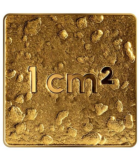 Letonia 10€ 2025 Nuestra Tierra. Oro  - 1