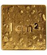Letonia 10€ 2025 Nuestra Tierra. Oro  - 1