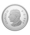 Dollar plata Proof Canada 2025 Tumba Soldado Desconocido.. - 3 Dollar plata Proof Canada 2025 Tumba Soldado Desconocido.. - 3