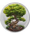 Moneda de plata Alemania 5 Mark 2025 Árbol Vida Verano - 1 Moneda de plata Alemania 5 Mark 2025 Árbol Vida Verano - 1