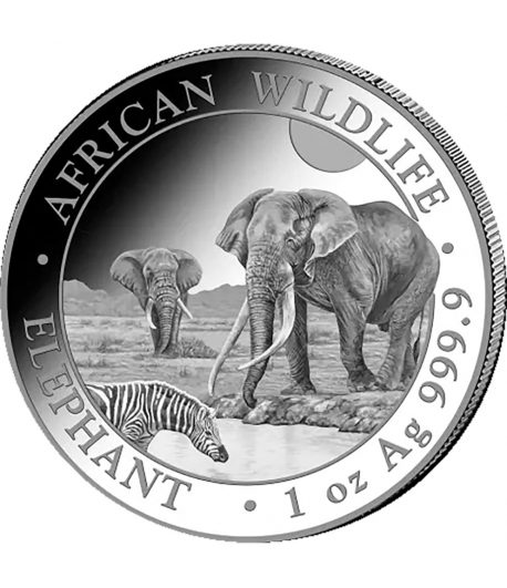 Moneda plata Somalia 100 Shilling Elefante 2026.  - 1