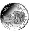 Moneda plata Somalia 100 Shilling Elefante 2026.  - 1