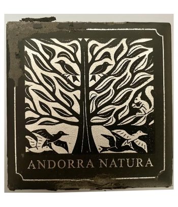 Moneda 10 Diners Andorra 2013 Zorro. Plata  - 4