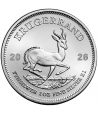 Moneda de plata 1 Rand Sudafrica Krugerrand 2026  - 1