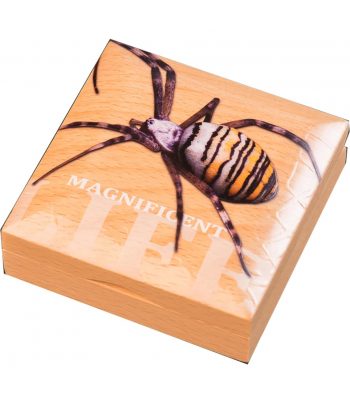 Moneda 5$ Islas Cook 2016. Araña Avispa. Plata  - 3