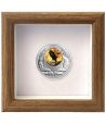 Moneda 500 Francs Camerun 2026 Águila cola blanca. Plata  - 4