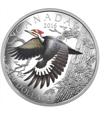 Moneda de plata 20$ Canadá 2016 Pájaro Carpintero.  - 1