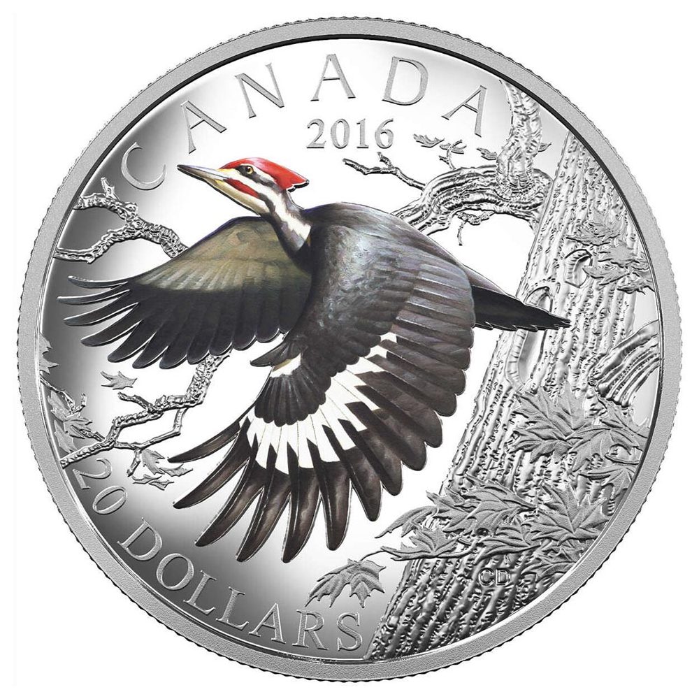 Moneda de plata 20$ Canadá 2016 Pájaro Carpintero.  - 1