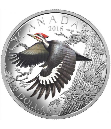Moneda de plata 20$ Canadá 2016 Pájaro Carpintero.  - 1