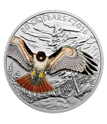 Moneda de plata 20$ Canadá 2016 Halcón de cola roja Real.  - 1