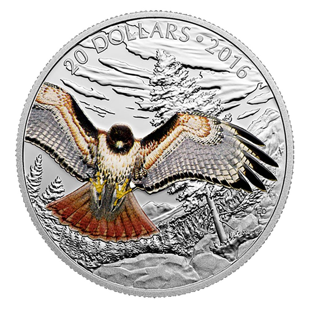 Moneda de plata 20$ Canadá 2016 Halcón de cola roja Real.  - 1