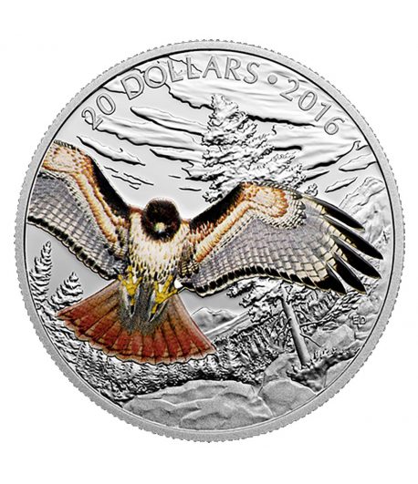 Moneda de plata 20$ Canadá 2016 Halcón de cola roja Real.  - 1