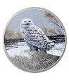 Moneda de plata 20$ Canadá 2016 Buho de las Nieves.  - 1