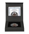Moneda de plata Alemania 5 Mark 2026 Bodvar.  - 3