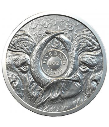 Moneda de plata 5 Rand Sudafrica 2021 Buffalo.  - 2