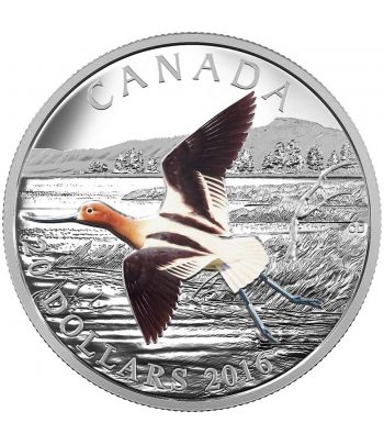 Moneda de plata Canada 20$ 2016 Avoceta Americana. Onza.  - 1