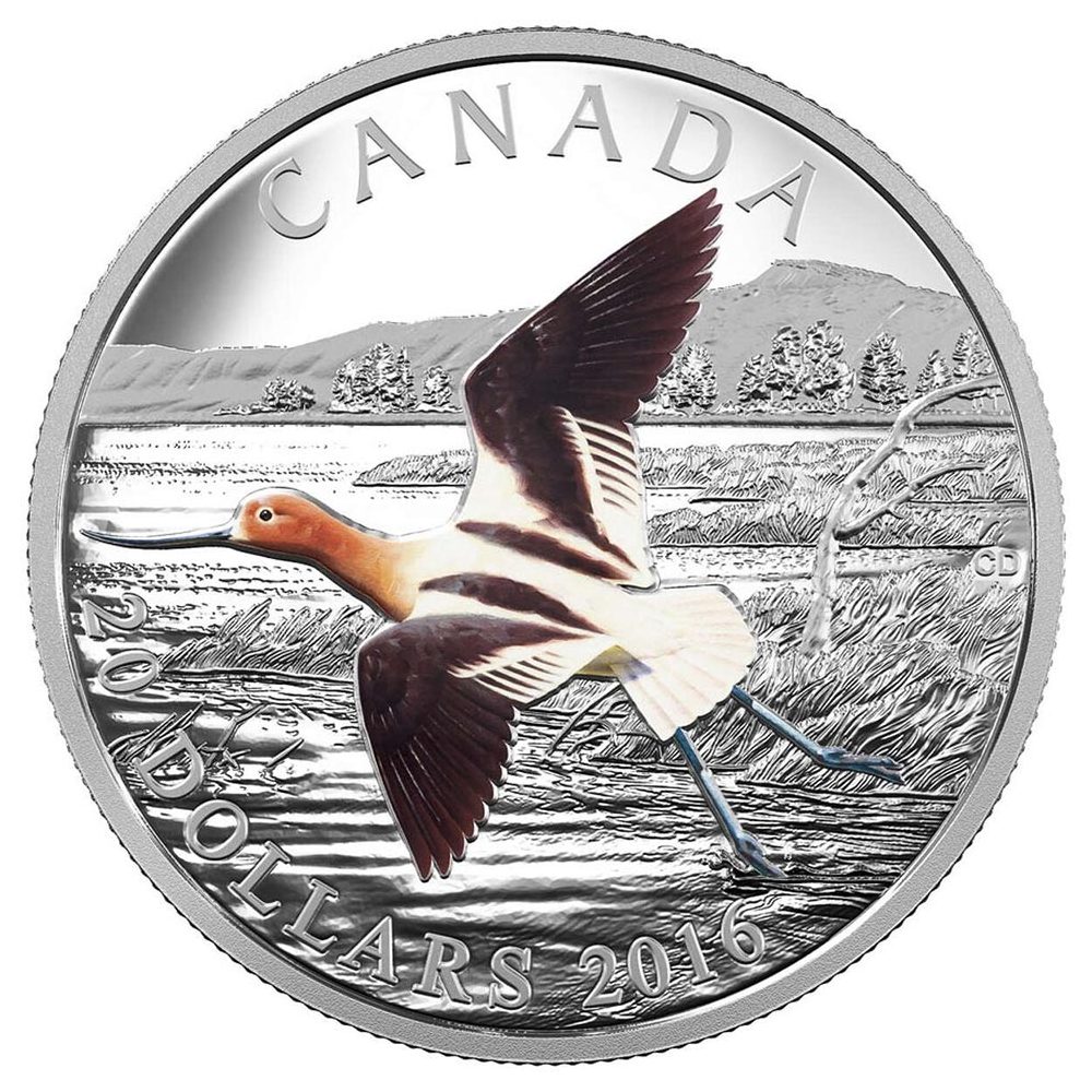 Moneda de plata Canada 20$ 2016 Avoceta Americana. Onza.  - 1