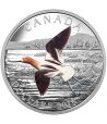 Moneda de plata Canada 20$ 2016 Avoceta Americana. Onza.  - 1