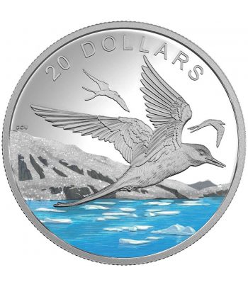Moneda de plata Canada 20$ 2017 Charrán Ártico. Onza.  - 1