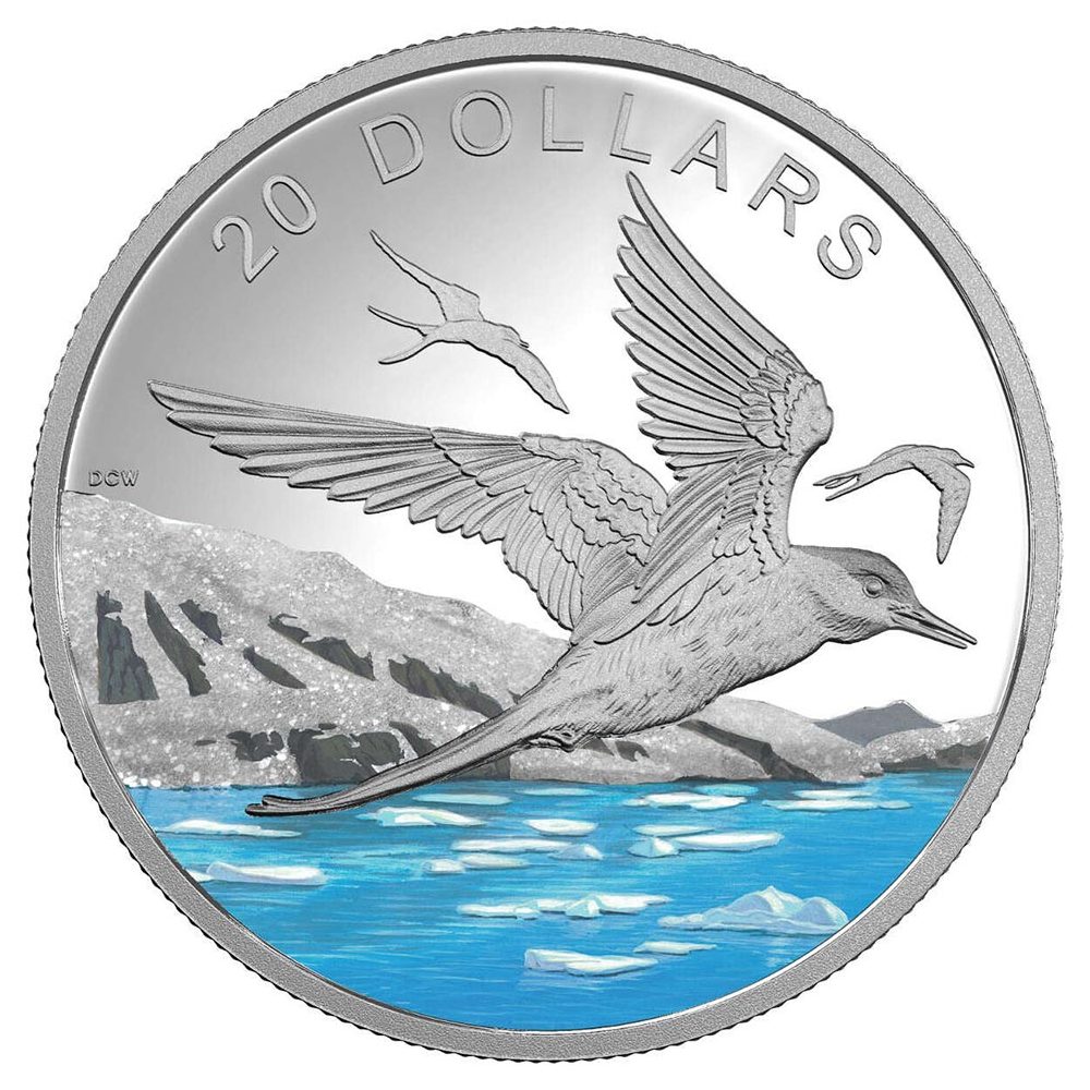 Moneda de plata Canada 20$ 2017 Charrán Ártico. Onza.  - 1