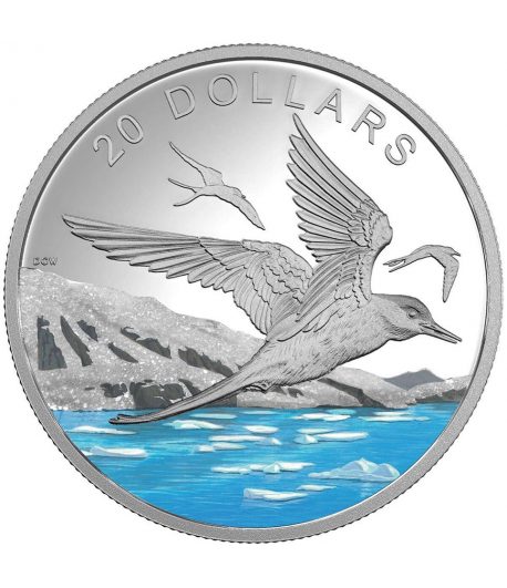 Moneda de plata Canada 20$ 2017 Charrán Ártico. Onza.  - 1