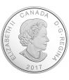 Moneda de plata Canada 20$ 2017 Charrán Ártico. Onza.  - 2
