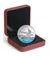 Moneda de plata Canada 20$ 2017 Charrán Ártico. Onza.  - 3