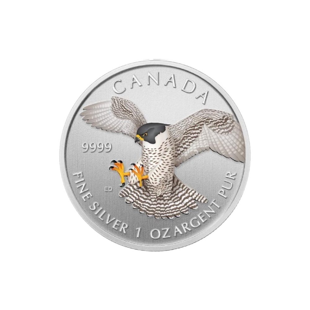 Moneda de plata 5$ Canadá 2014 Halcón Peregrino. Color  - 1