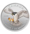 Moneda de plata 5$ Canadá 2014 Halcón Peregrino. Color  - 1