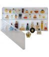 Lindner Módulo vitrina objetos grandes EXPO 400x100x60 mm Lindner Módulo vitrina objetos grandes EXPO 400x100x60 mm